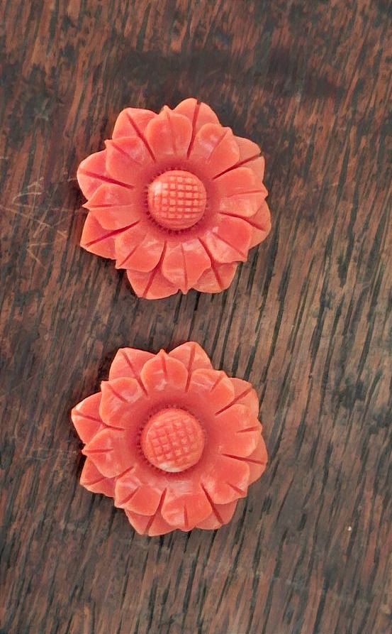 Pair Of Coral Flowers