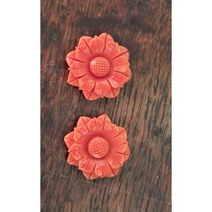 Pair Of Coral Flowers