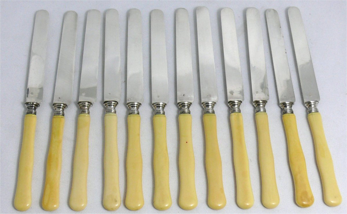 12 Couteaux à Fruits, dessert, entremets, Lames Argent Gravées.-photo-3