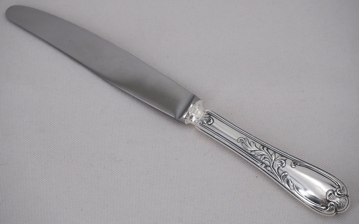 Ercuis Dubarry Model, Du Barry, 12 Table Knives, Silver-plated Metal, Excellent Condition.-photo-1