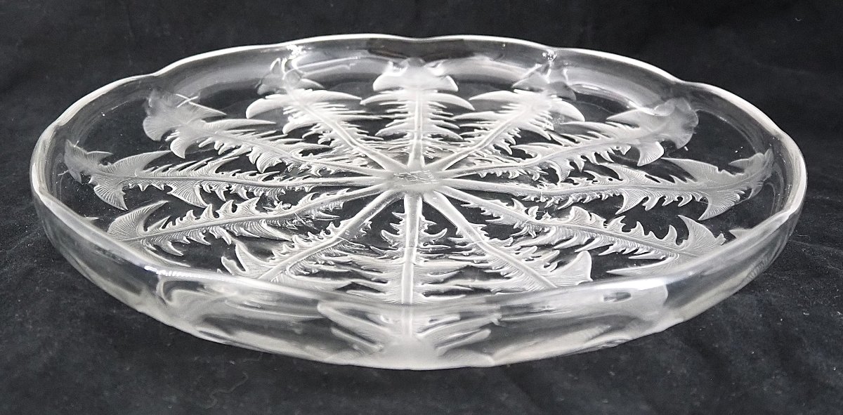 Lalique Vda, Alsatian Glassware, Dandelion Bowl, 29.5 Cm, Excellent Condition, Signed.-photo-3