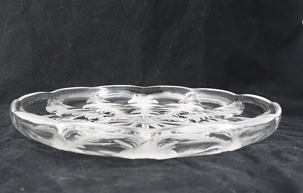 Lalique Vda, Alsatian Glassware, Dandelion Bowl, 29.5 Cm, Excellent Condition, Signed.-photo-1