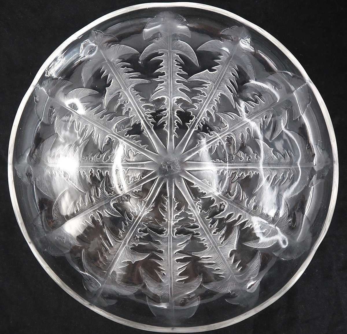 Lalique Vda, Alsatian Glassware, Dandelion Bowl, 29.5 Cm, Excellent Condition, Signed.-photo-2