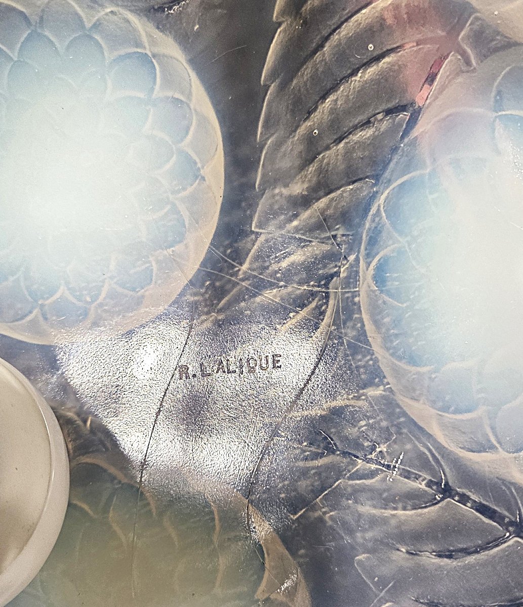 René Lalique, Pendant Light, Opalescent Chandelier, "dalhias," Signed, In Excellent Condition.-photo-8