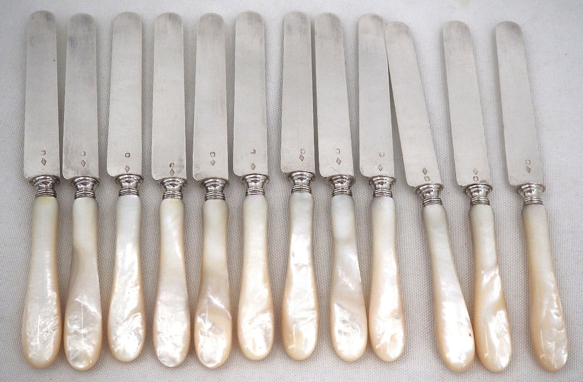 Philippe Berthier, 12 Fruit Knives, Minerve Silver Blades, Mother-of-pearl Handles, In Excellent Condition.-photo-2