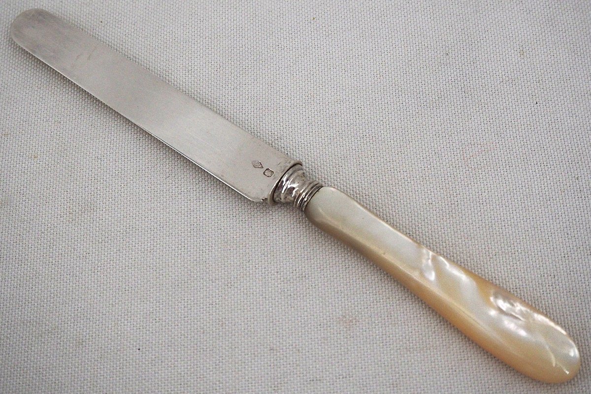 Philippe Berthier, 12 Fruit Knives, Minerve Silver Blades, Mother-of-pearl Handles, In Excellent Condition.-photo-3