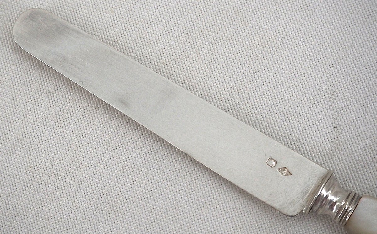 Philippe Berthier, 12 Fruit Knives, Minerve Silver Blades, Mother-of-pearl Handles, In Excellent Condition.-photo-4