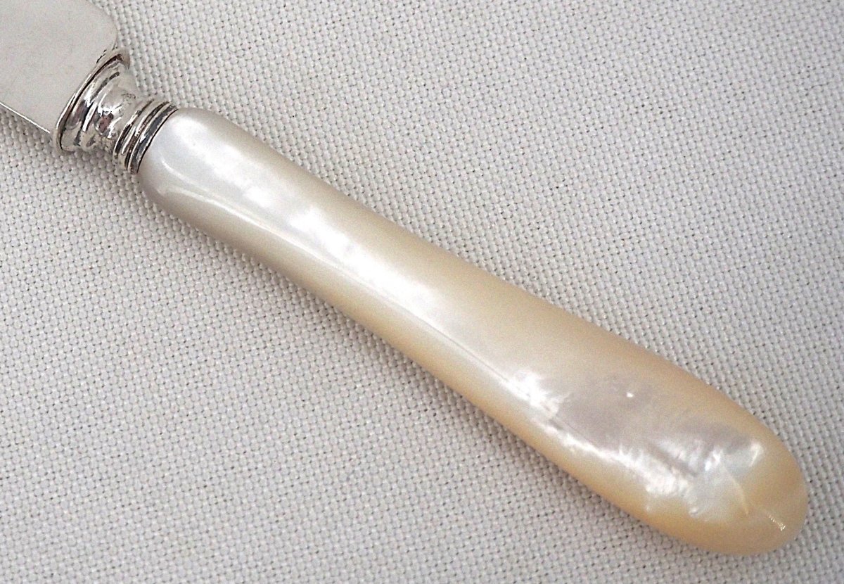 Philippe Berthier, 12 Fruit Knives, Minerve Silver Blades, Mother-of-pearl Handles, In Excellent Condition.-photo-1