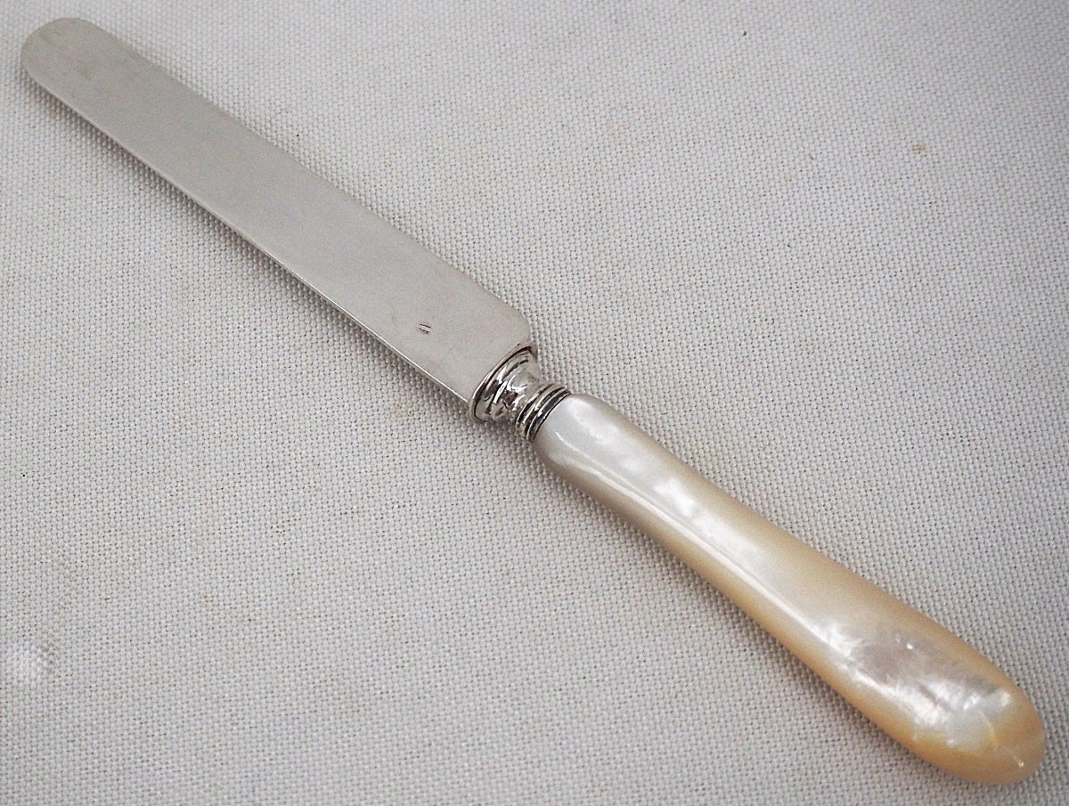 Philippe Berthier, 12 Fruit Knives, Minerve Silver Blades, Mother-of-pearl Handles, In Excellent Condition.-photo-2