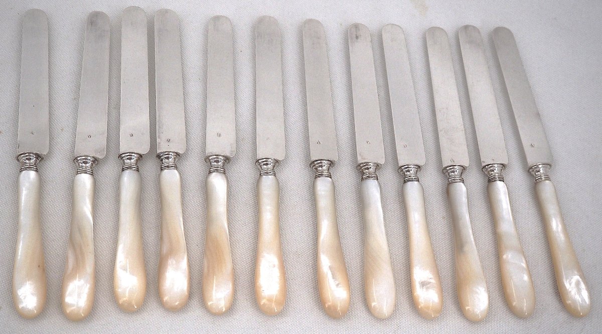 Philippe Berthier, 12 Fruit Knives, Minerve Silver Blades, Mother-of-pearl Handles, In Excellent Condition.-photo-3