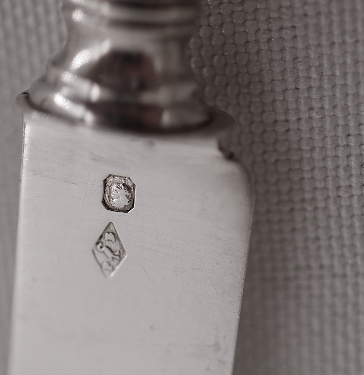 Philippe Berthier, 12 Fruit Knives, Minerve Silver Blades, Mother-of-pearl Handles, In Excellent Condition.-photo-6