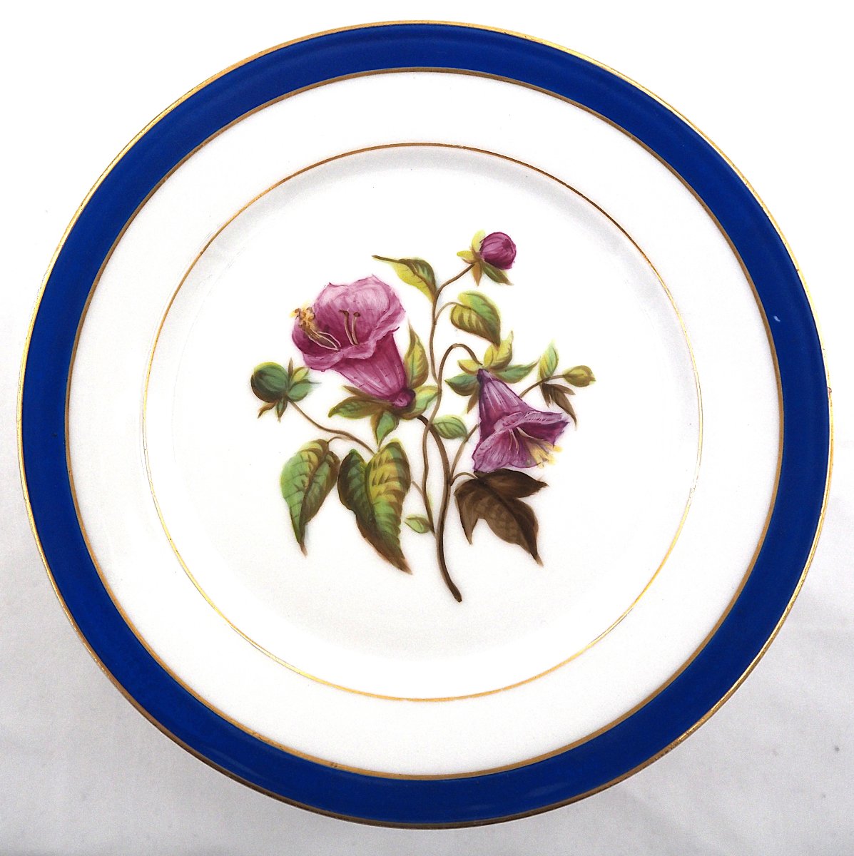 19th-century Paris Porcelain: 24 Plates + 4 Decorated Plates + 1 Flower Vase, Each With A Different Design-photo-3
