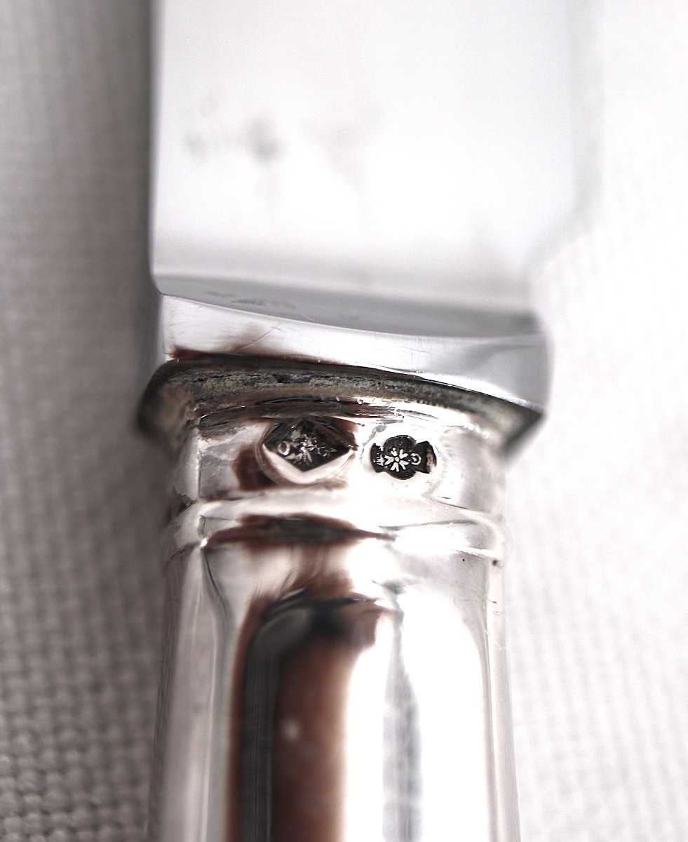 Cardeilhac, Christofle, 12 Cheese And Dessert Knives, Minerve Silver, Uniplat.-photo-6