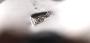 1196593-alb-650c2df00daee.jpg
