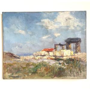 Landscape In Summer