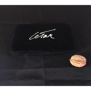 Cesar Baldaccini Stylo