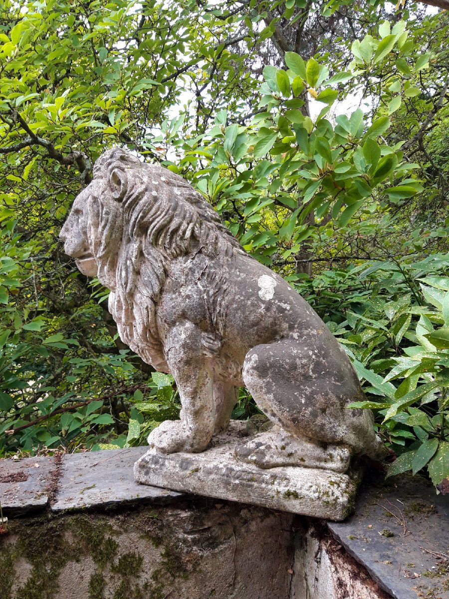 Lion de jardin en pierre-photo-2