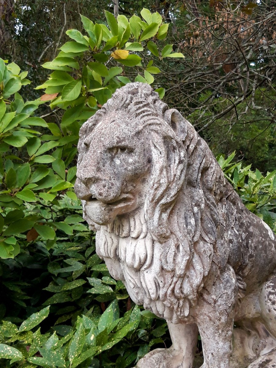 Lion de jardin en pierre-photo-3