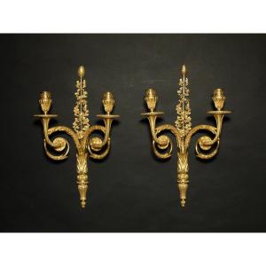 Paire d'appliques d'époque Louis XVI en bronze doré