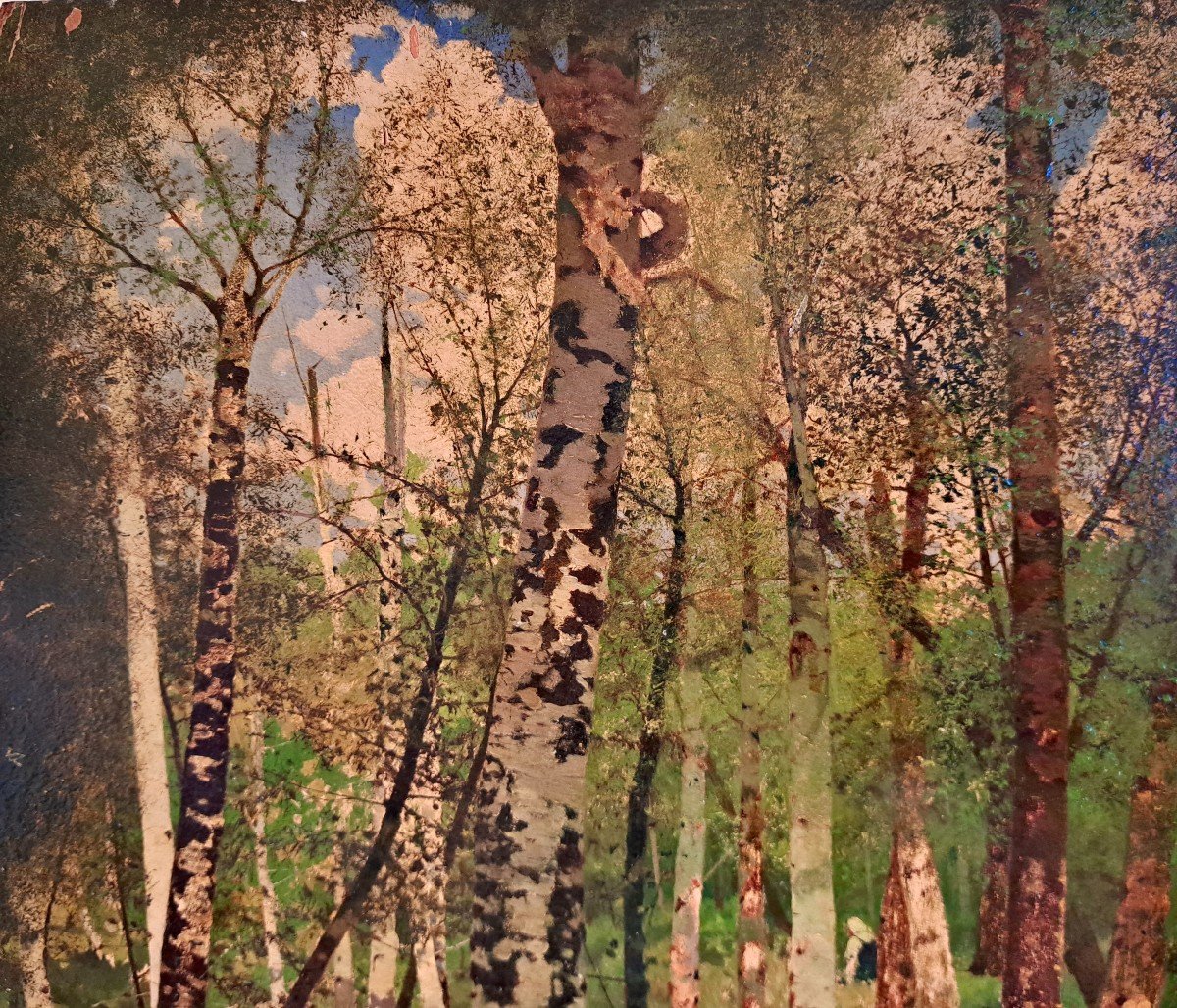 &Eacute;cole du nord  femme dans une for&ecirc;t de bouleaux -photo-3