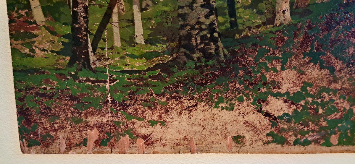 &Eacute;cole du nord  femme dans une for&ecirc;t de bouleaux -photo-1