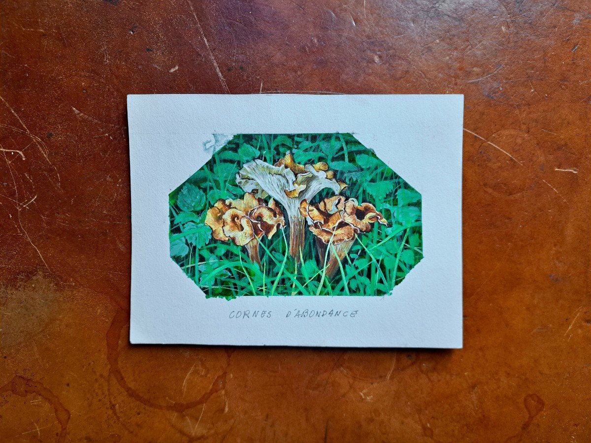 Set Of 7 Original Naturalist Plates In Gouache Forest Mushrooms-photo-4