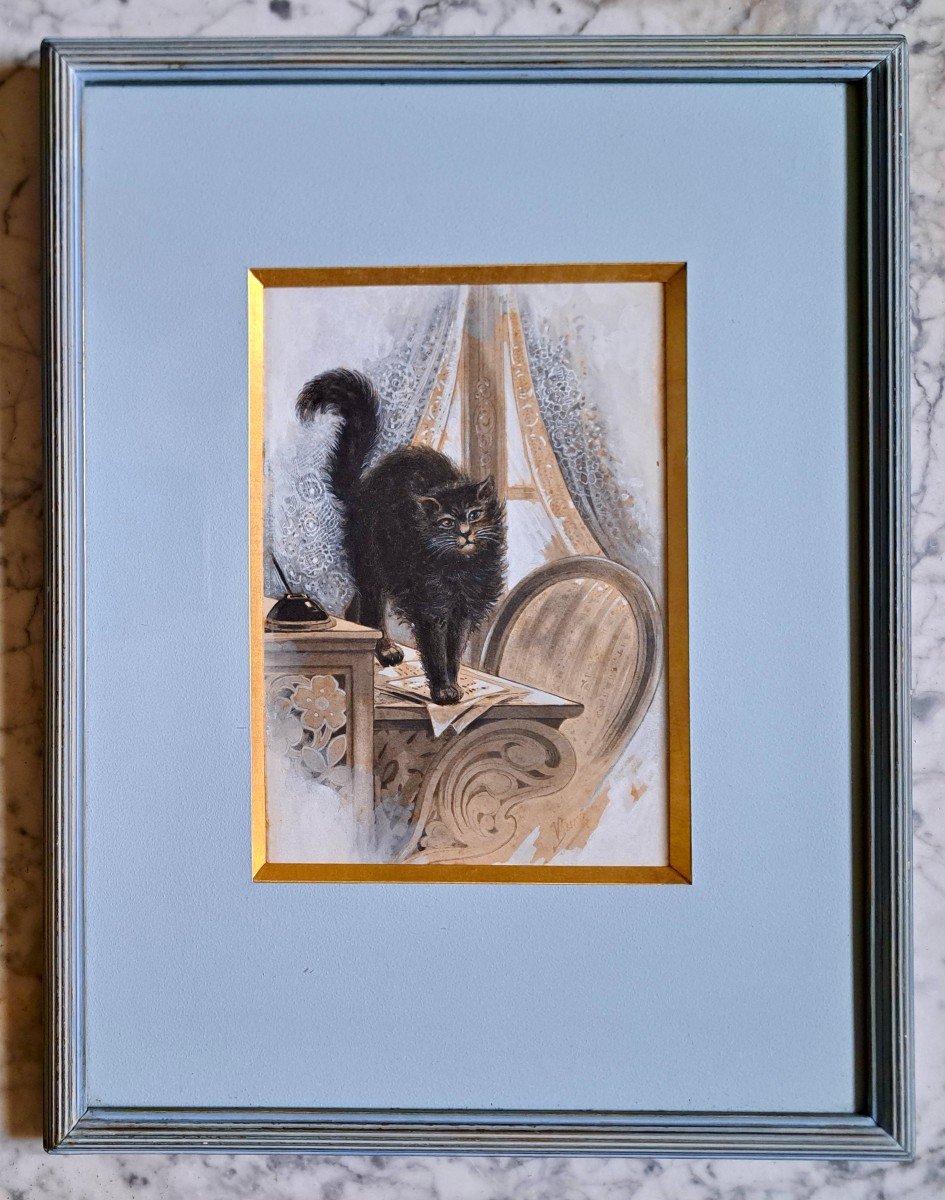 Chatte ou chat noir sur le bureau Miauw! École Française-photo-2