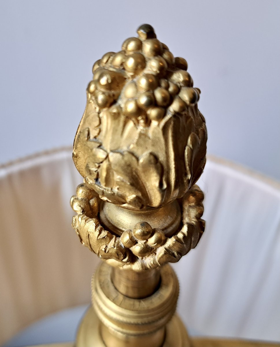 Louis XVI Style Bronze Hot Water Bottle Lamp From The Faubourg Saint Antoine Factory In Paris-photo-4