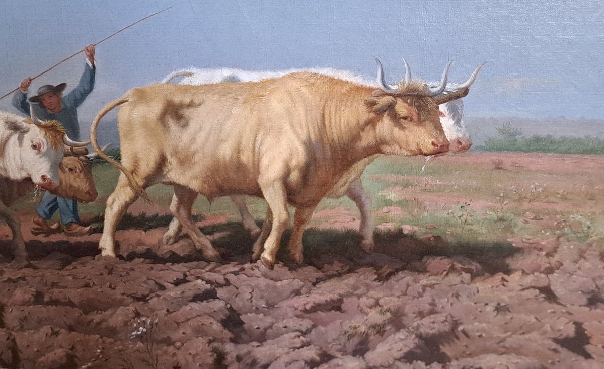 Rosa Bonheur (1822-1899) After The Nivernais Ploughing -photo-4