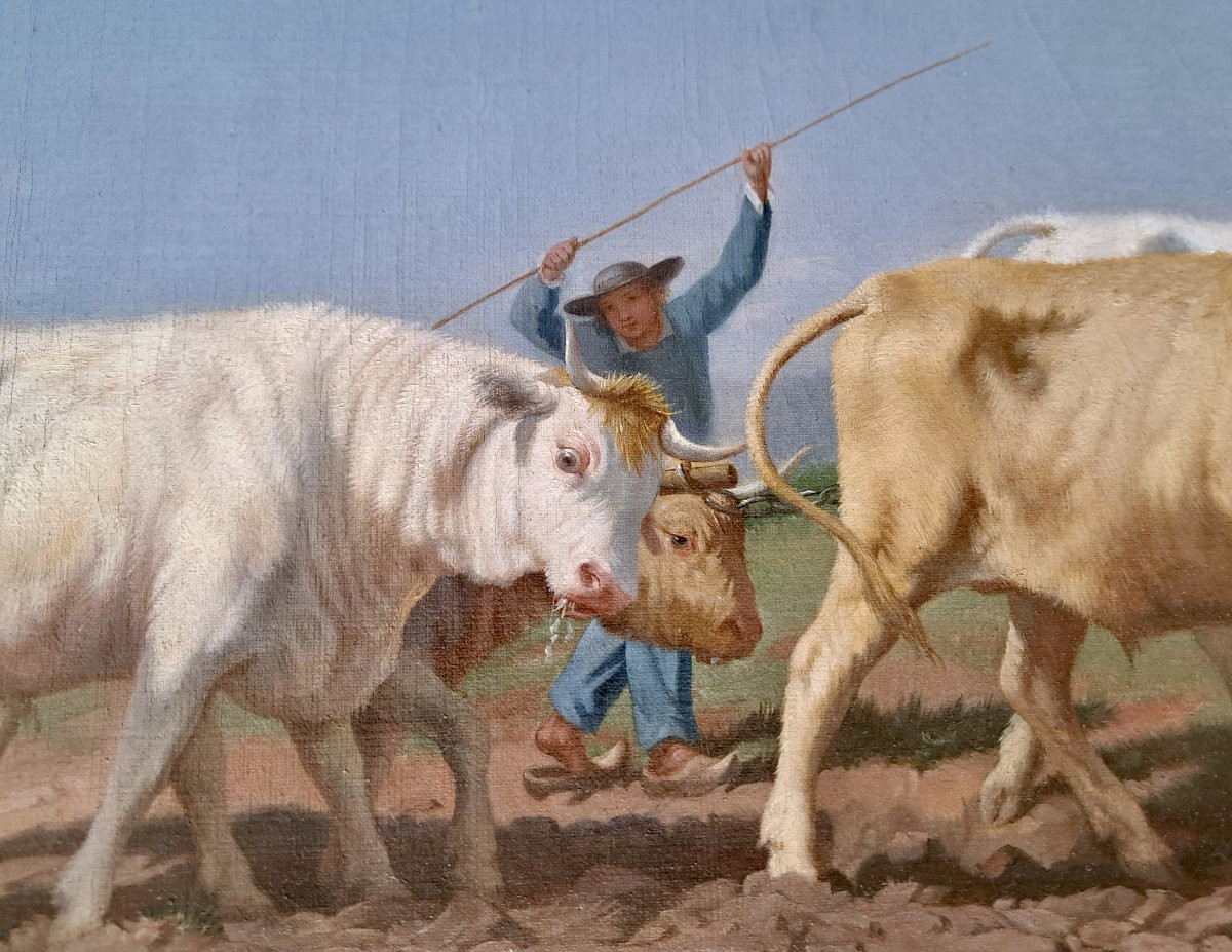 Rosa Bonheur (1822-1899) After The Nivernais Ploughing -photo-1