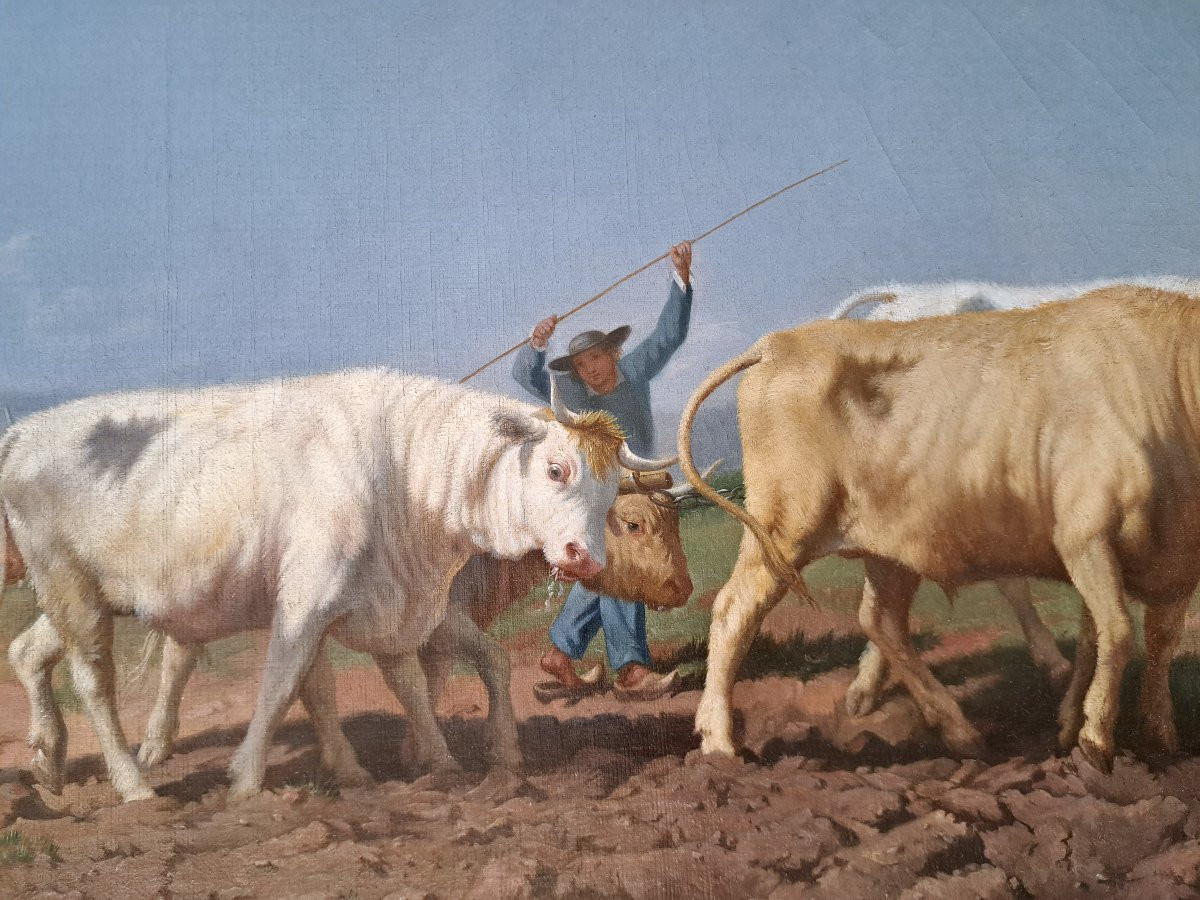 Rosa Bonheur (1822-1899) After The Nivernais Ploughing -photo-2