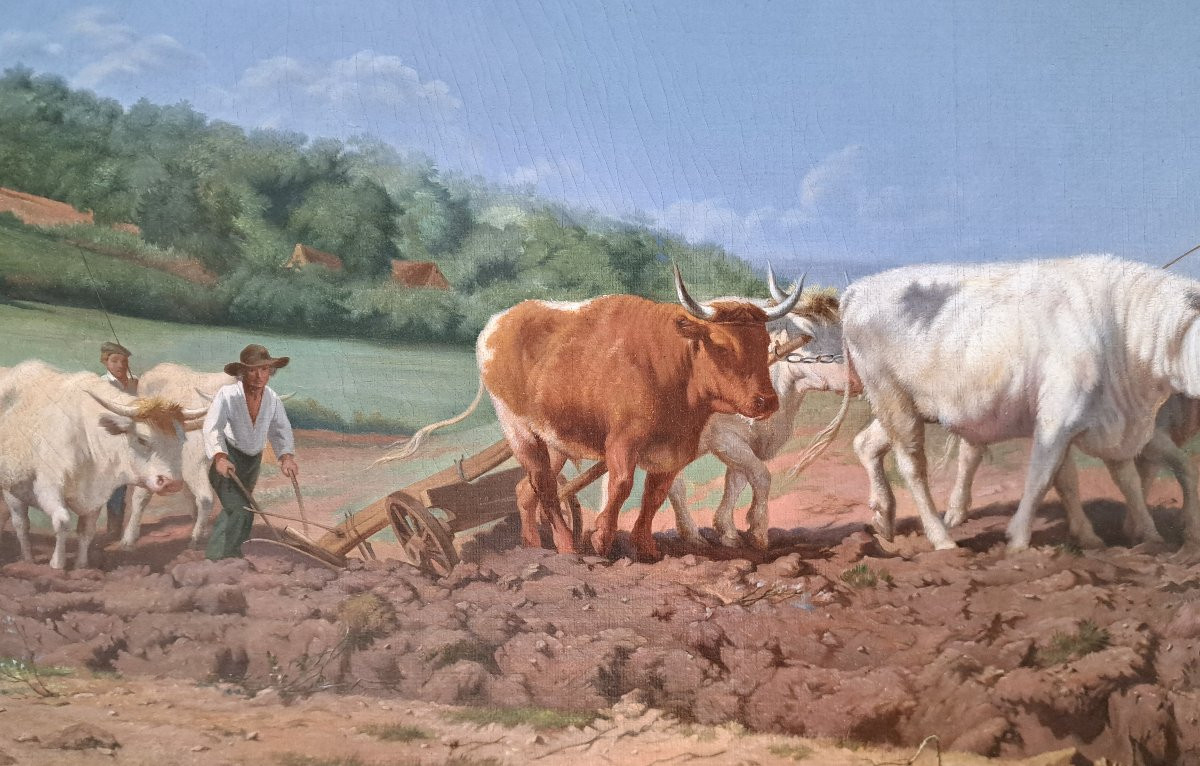 Rosa Bonheur (1822-1899) After The Nivernais Ploughing -photo-3