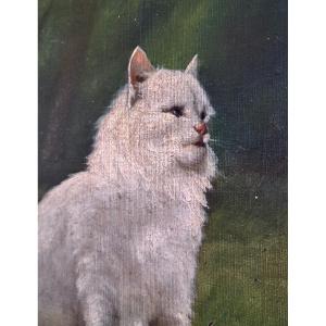 Portrait d'un chat fixant un papillon, huile sur toile début du XXe siècle