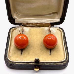 4949. Coral Earrings