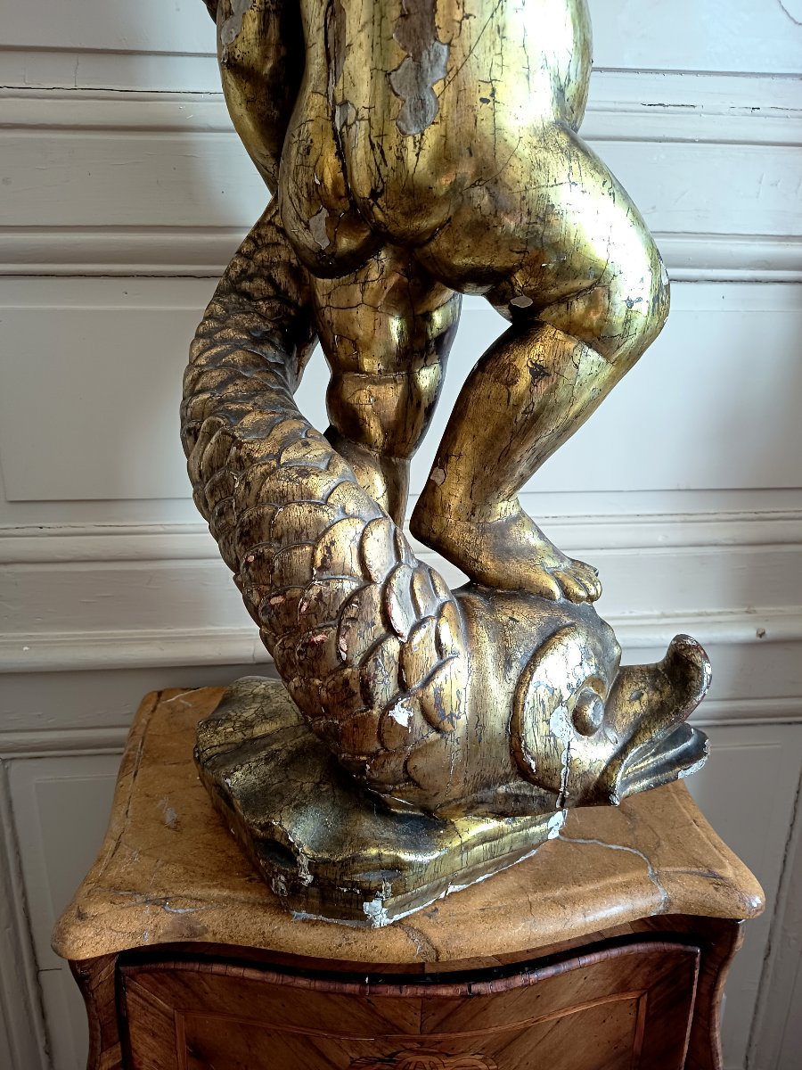 Putto On A Polychrome And Gilded Wooden Dolphin – Italy, Probably Liguria, 17th–18th Centuries-photo-5