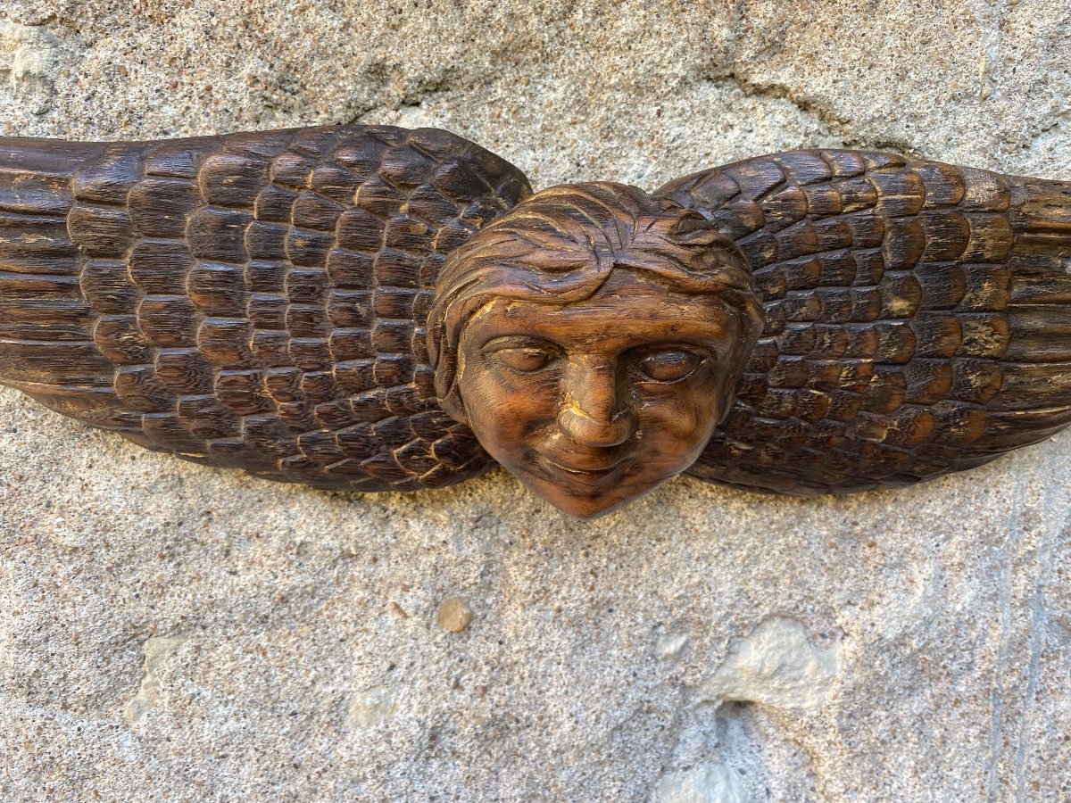 17th Century Carved Wood Angel Head-photo-3