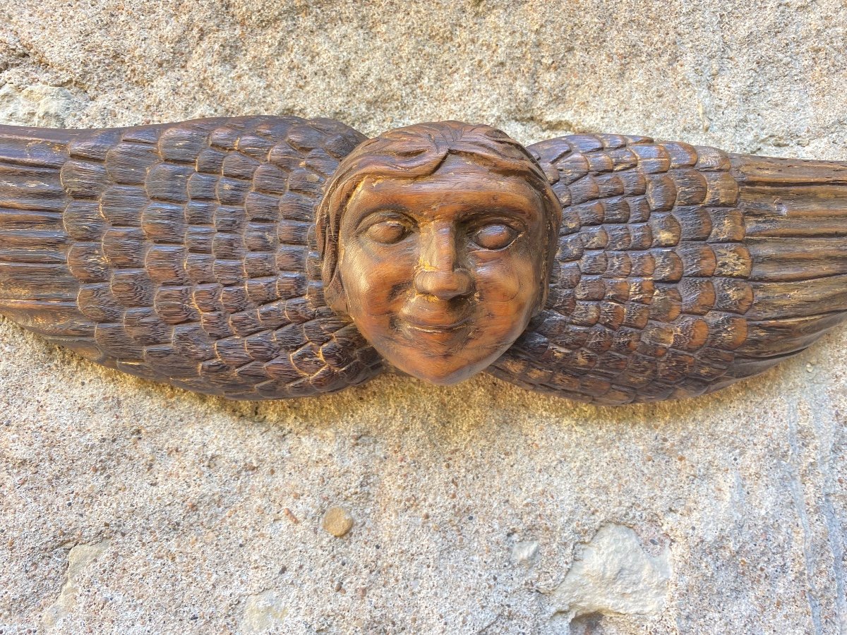 17th Century Carved Wood Angel Head-photo-4