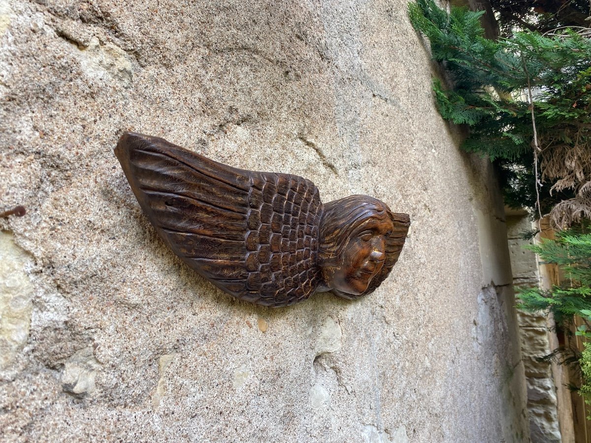 17th Century Carved Wood Angel Head-photo-5