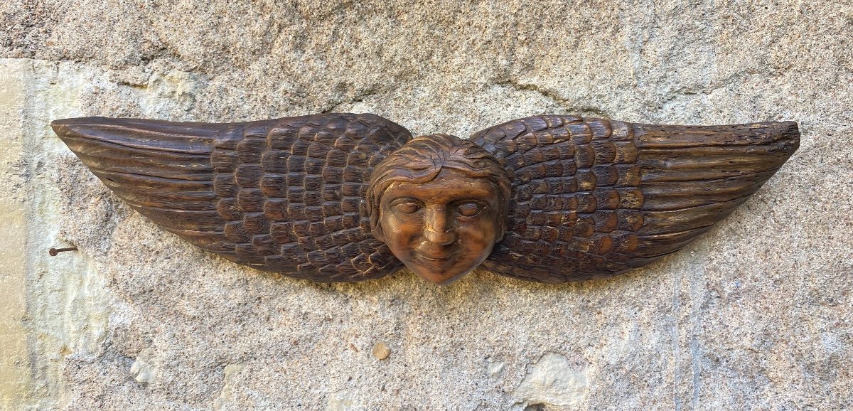 17th Century Carved Wood Angel Head