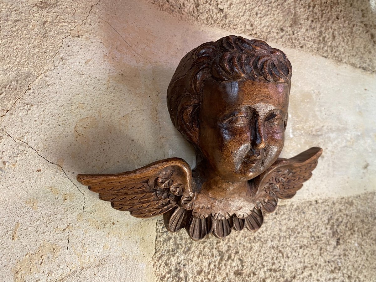 Angel Head In Carved Wood, 19th Century-photo-2