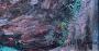 1741724-69dcfc4896f11.jpg