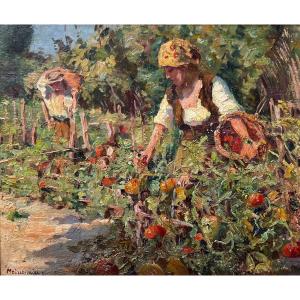 Joseph Meissonnier (1864-1943)-Avignon-Provence-Ramasseuse de tomate-Montfavet