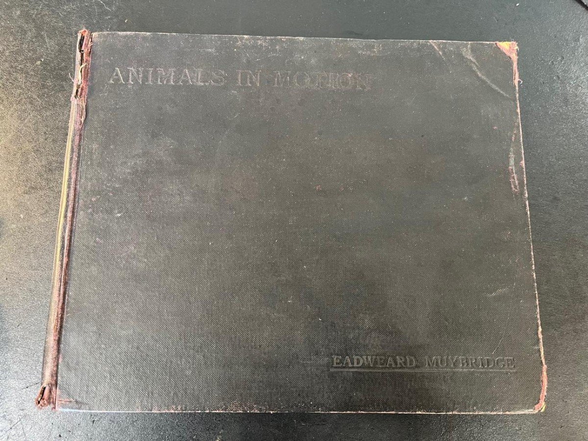 Rare Livre Animals In Motion Eadweard Muybridge 1925