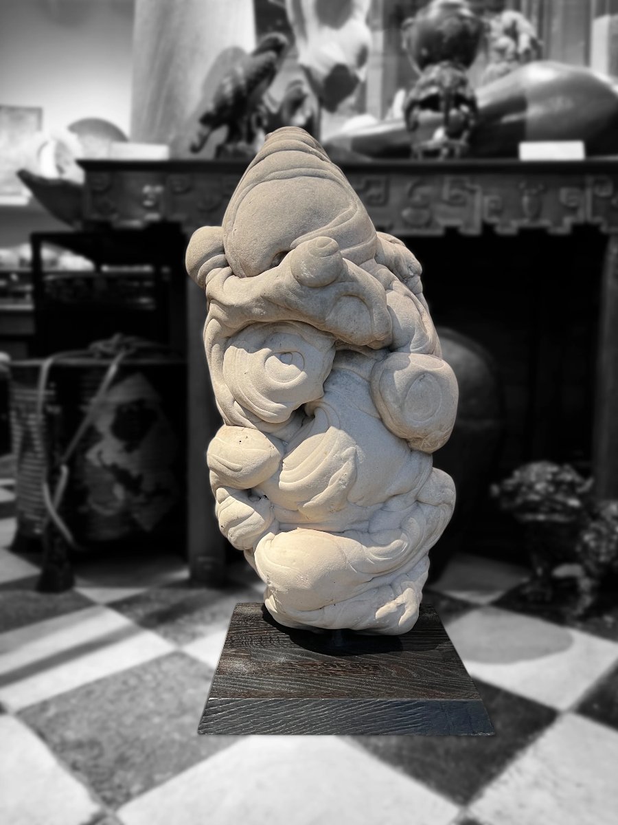 Complete Large Gogotte, Oligocene Period, France-photo-4