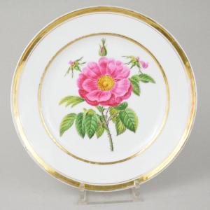 Paris Darte Freres Porcelain Plate With Wild Rose Decor Circa 1820