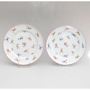 Pair Of Niderviller Porcelain Plates With Carnation Decor And Other Flowers 18th Century