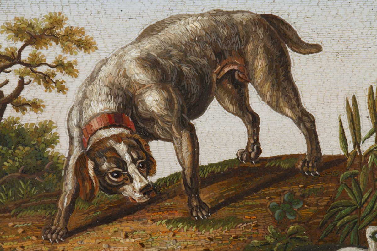 Early 19th Century Micromosaic Dog Chasing A Duck. After Gioacchino Barberi. -photo-3