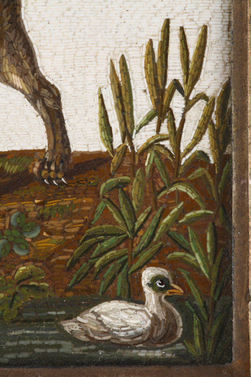 Early 19th Century Micromosaic Dog Chasing A Duck. After Gioacchino Barberi. -photo-3