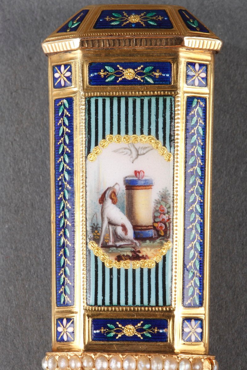 Gold, Enamel, And Pearl Needle Case. Swiss Craftsmanship. Late 18th Century. -photo-1