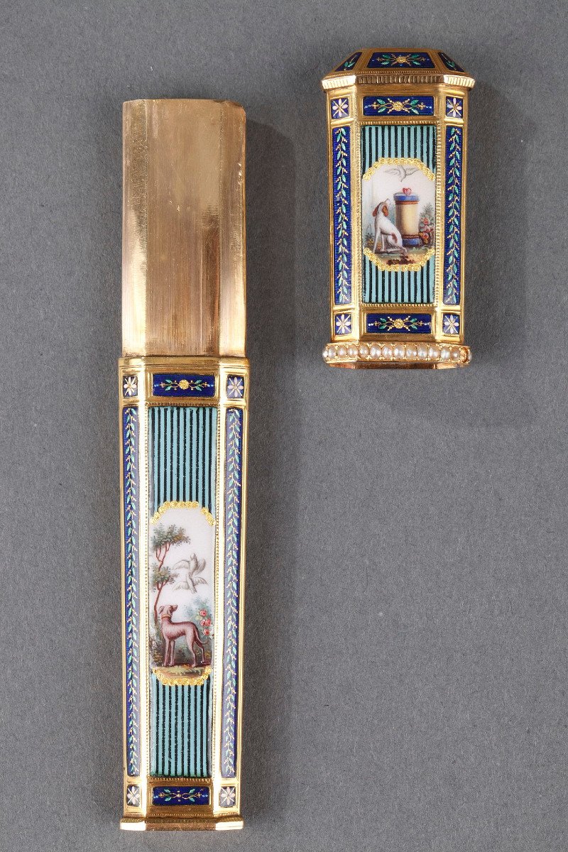 Gold, Enamel, And Pearl Needle Case. Swiss Craftsmanship. Late 18th Century. -photo-7